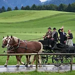 Landgasthof Alter Wirt Hotel